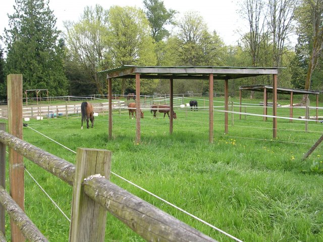 Paddocks with shelters